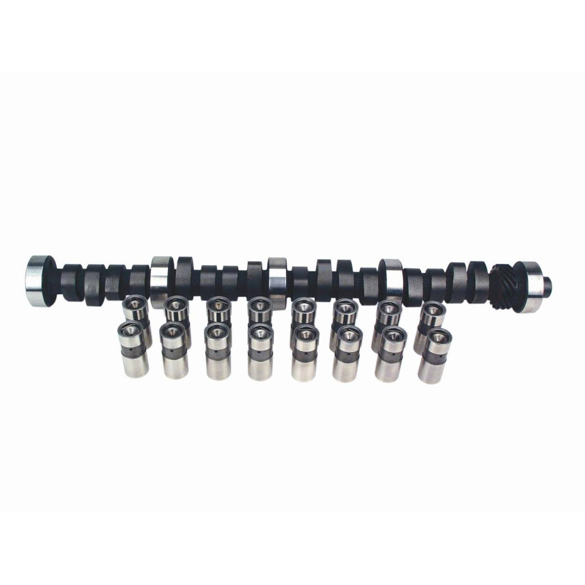 Magnum Camshaft and Lifter Kit T490