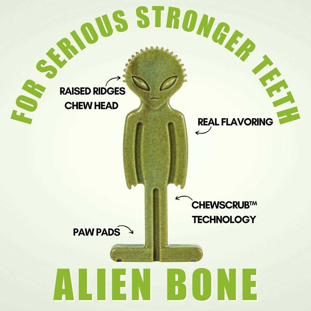 Small Alien Bone Dog Chew Toy L118318