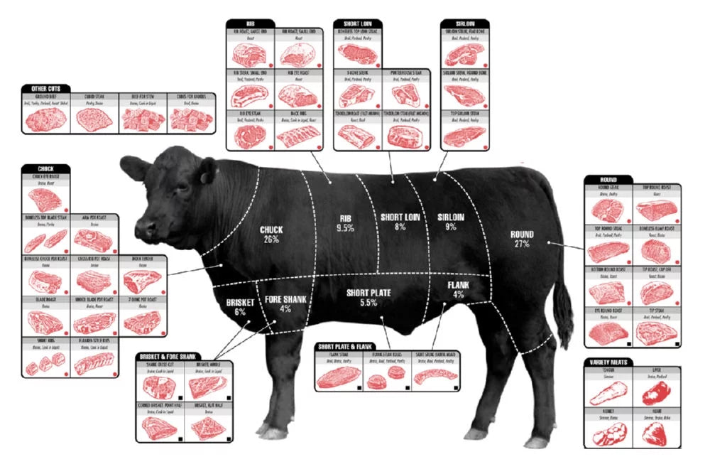 27x40 Square Beef Cuts Butcher Chart Poster L800