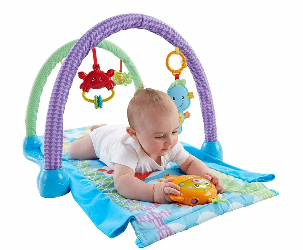 Musical Seahorse Gym Z800