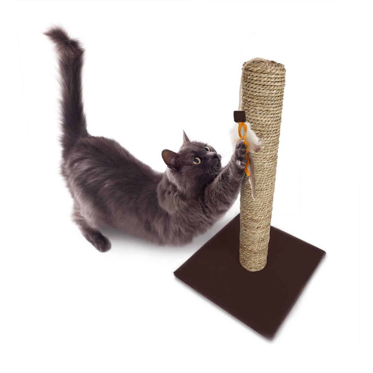 Cat Scratch Post with Feather Toy M68730