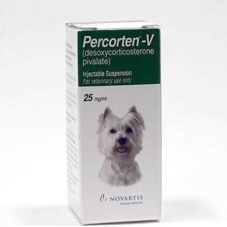 Injectable for Dogs P258474
