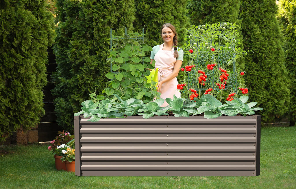Galvanized Steel Raised Garden Bed 6x3x2 ft Brown L48192