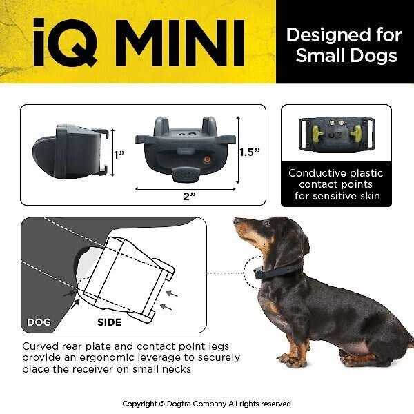 Dog Training Collar K378844