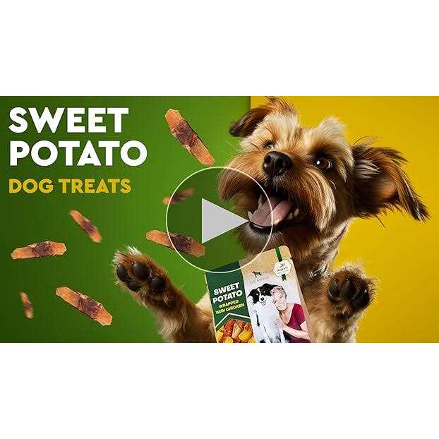 Sweet Potato Wrapped with Chicken Dog Chew Treats H90792