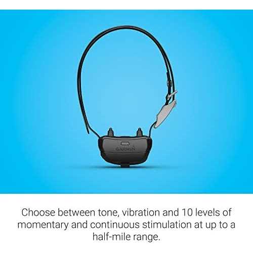 Dog Collar D6507