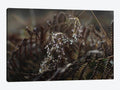 Canvas Art Print L342