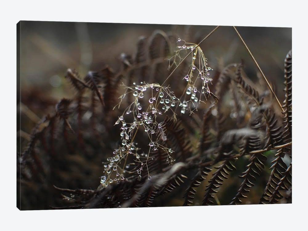 Canvas Art Print L342