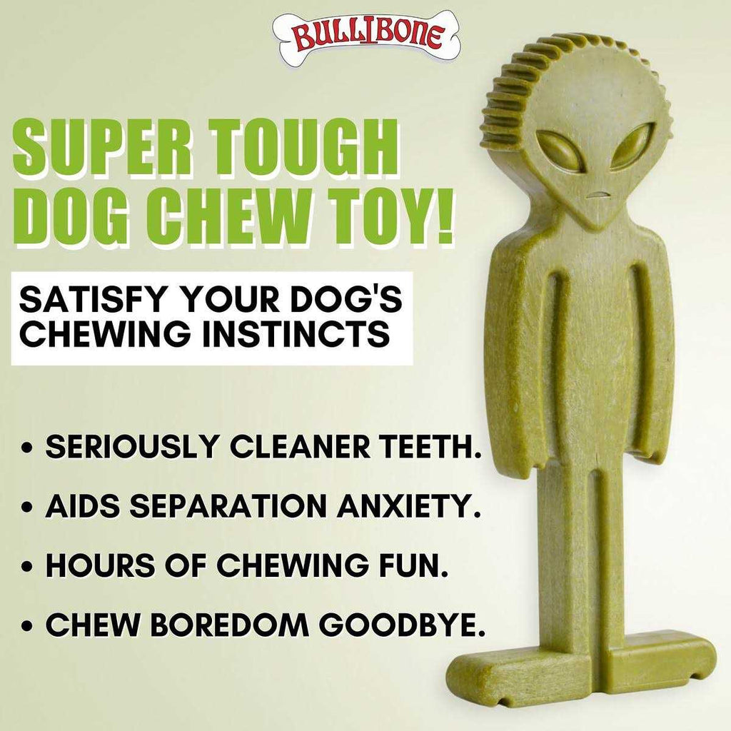 Small Alien Bone Dog Chew Toy L118318
