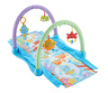 Musical Seahorse Gym Z800