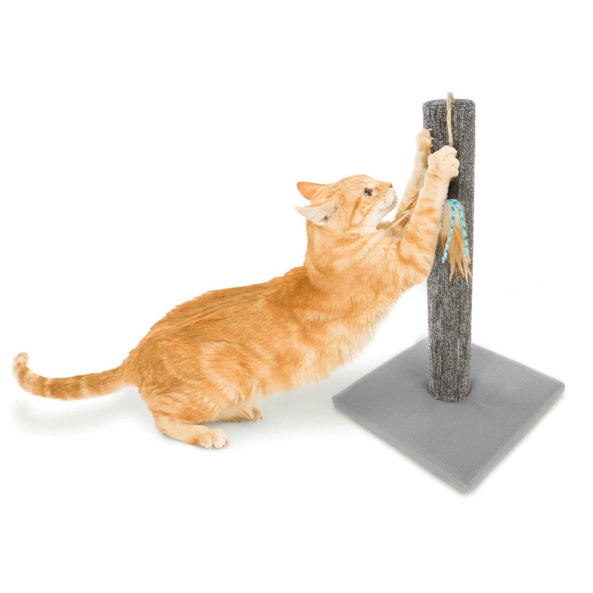 Cat Scratch Post with Feather Toy M68730