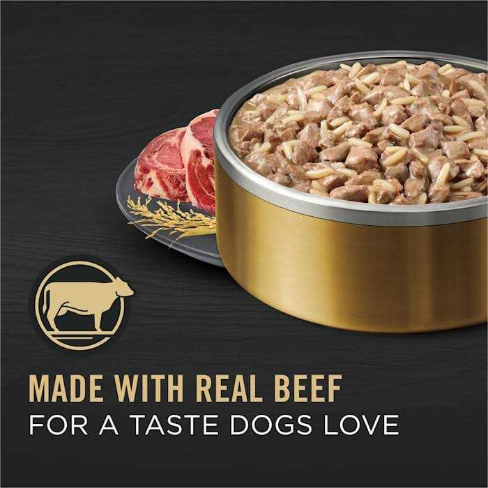 Senior Gravy Wet Dog Food Beef & Rice Entree D716868