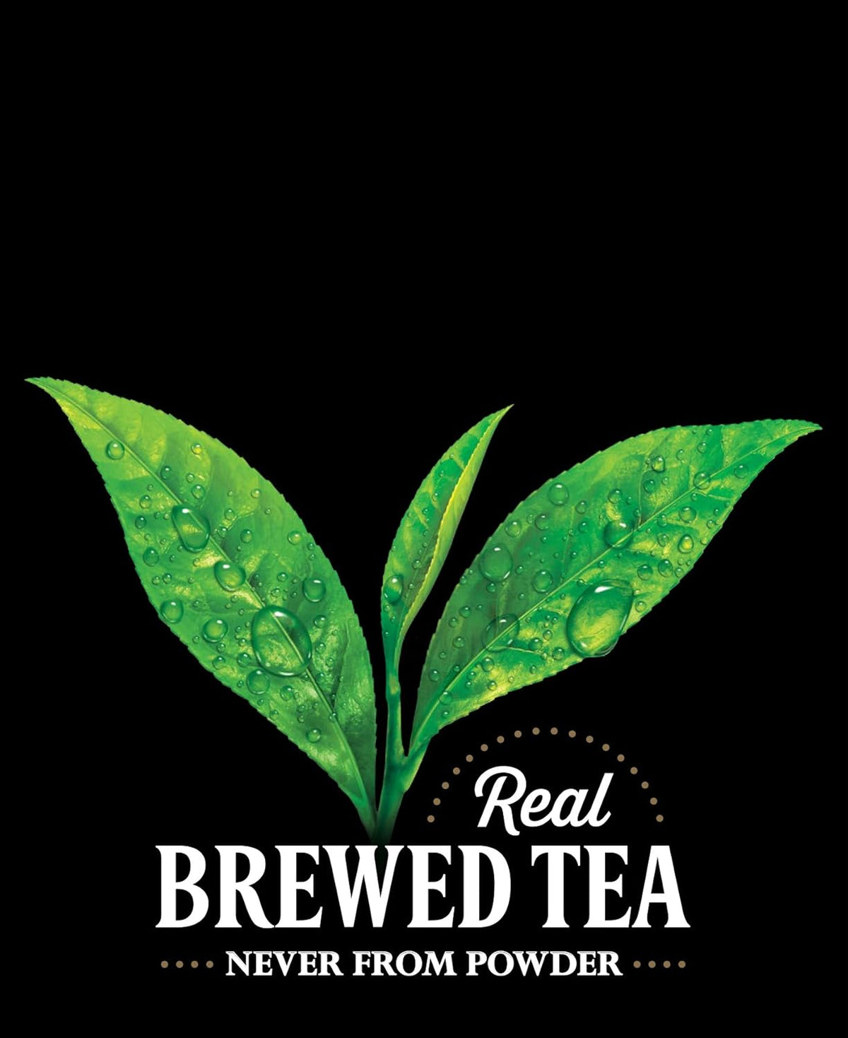 18.5 Fl Oz Unsweetened Iced Tea (Pack of 12) F339
