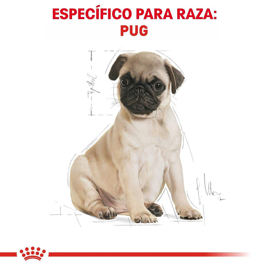Pug Puppy Dry Dog Food E78544