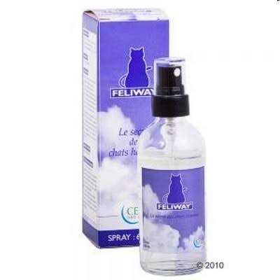 Spray 60ml S6378