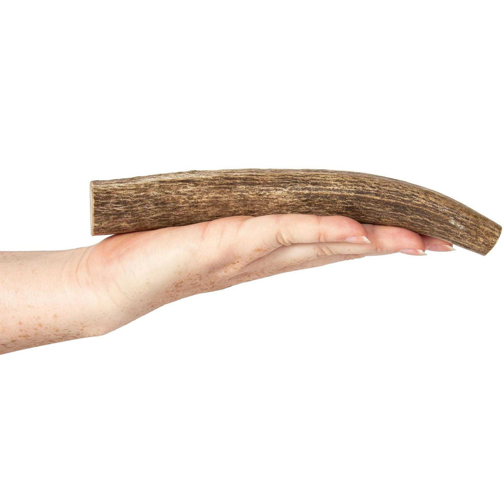Elk Antlers for Dogs F8311