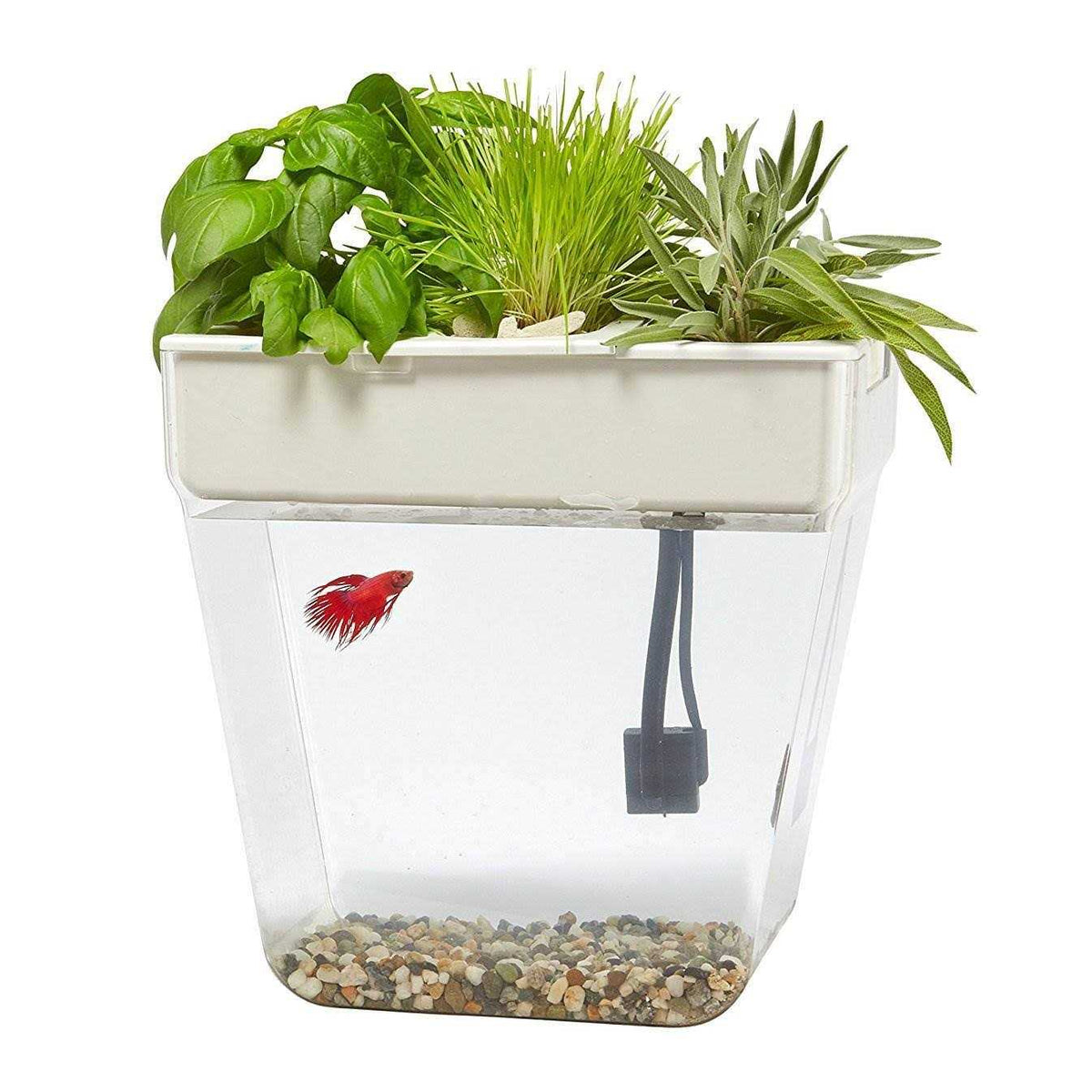 Water Garden V8362