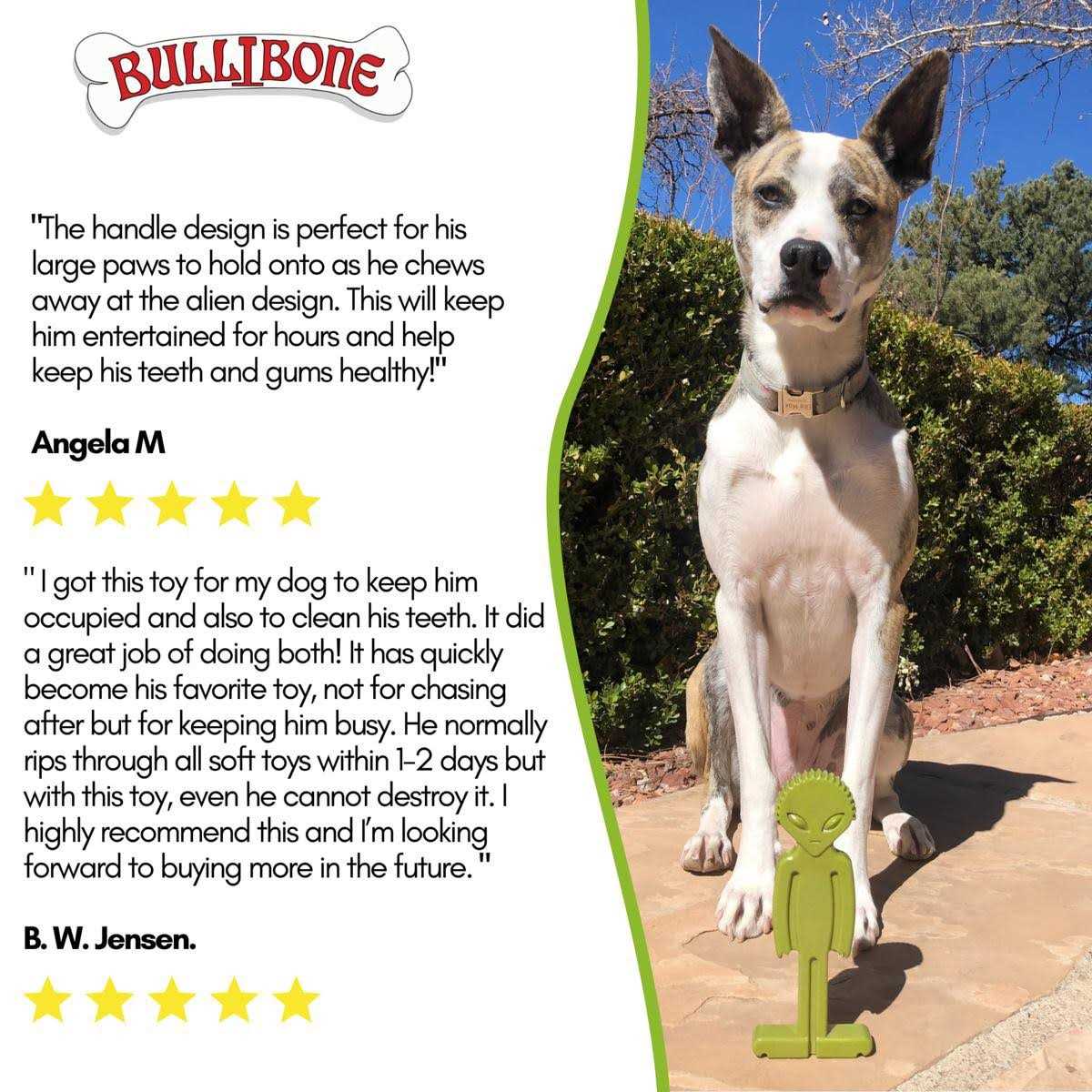 Small Alien Bone Dog Chew Toy L118318