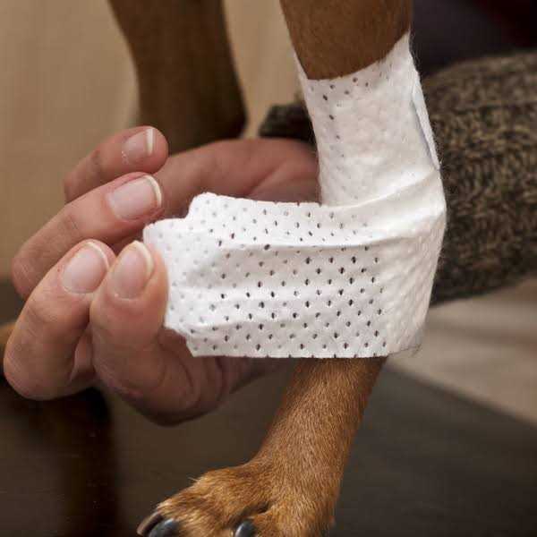 Pets Bandages A8677