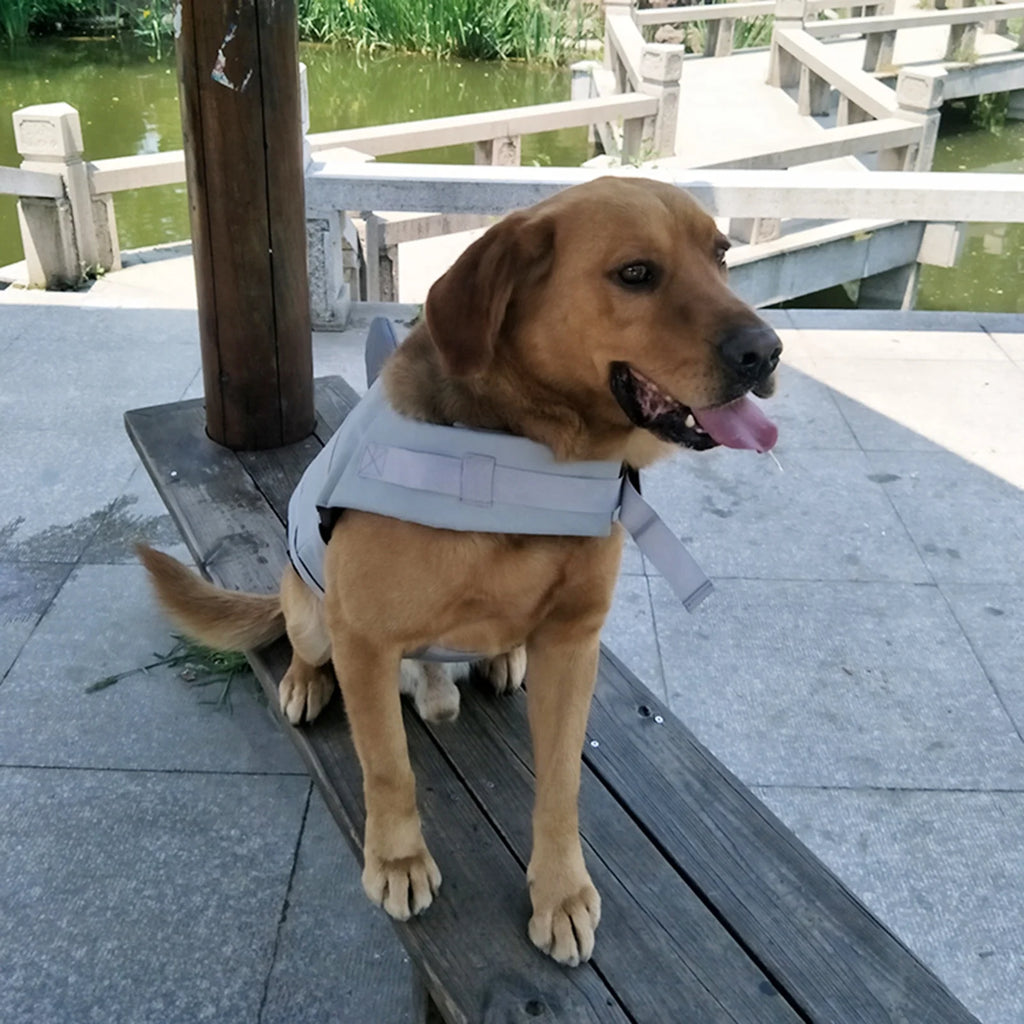 Dog Pet Shark Swimsuit Vest Safety Wear N44034