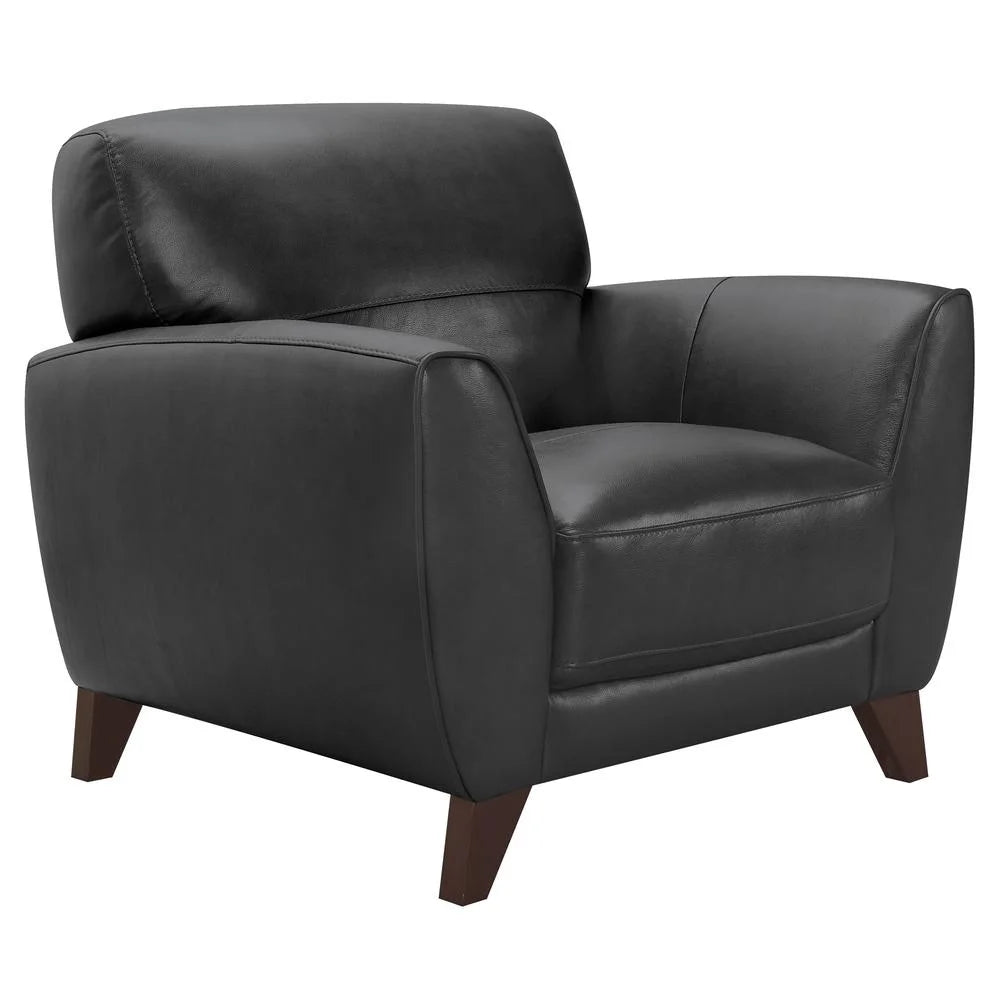 Modern Leather Accent Chair M3860