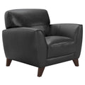 Modern Leather Accent Chair M3860