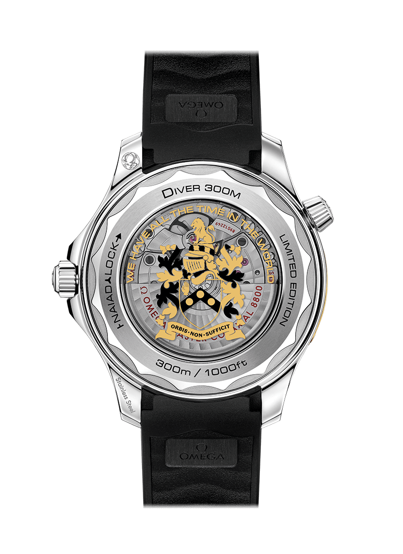 Diver 300m 42mm P946060