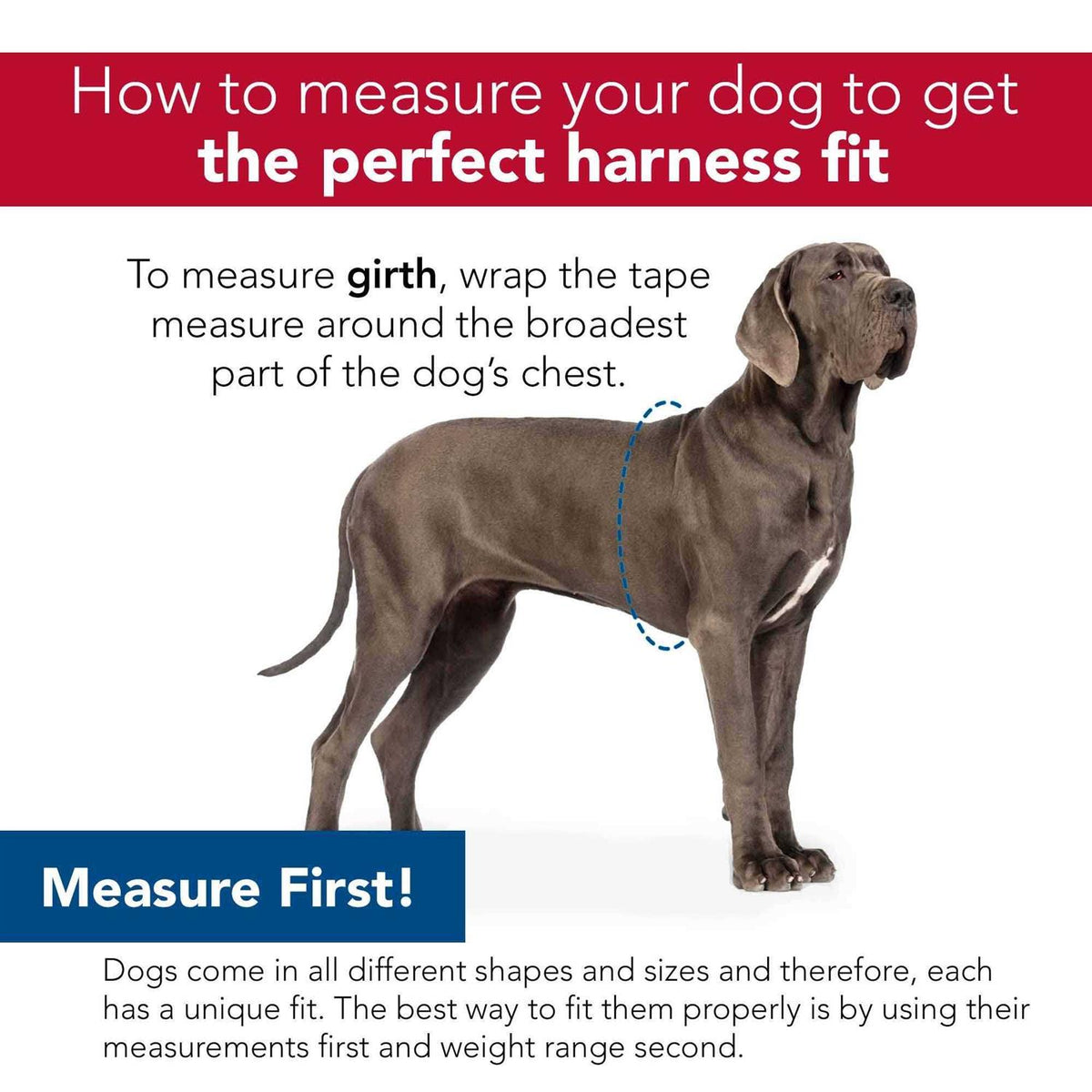 Canvas Dog Harness L776428