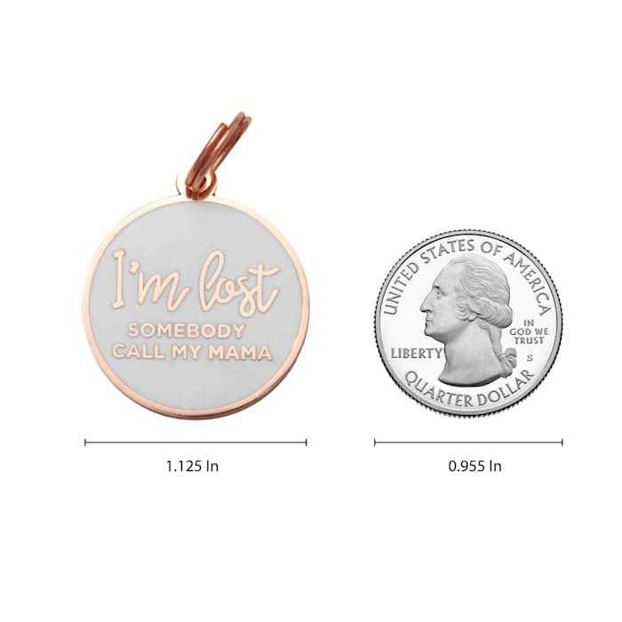 Rose Gold & White Pet ID Tag T54392