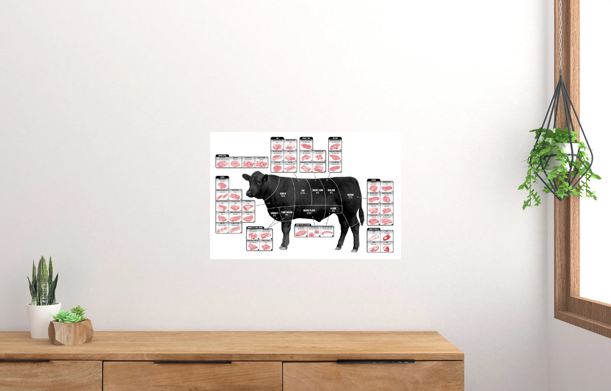 27x40 Square Beef Cuts Butcher Chart Poster L800