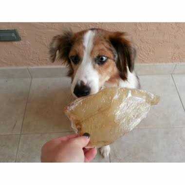Buffalo Ears for Dogs I9720