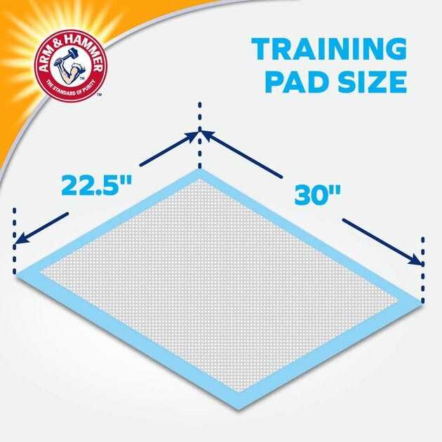XL Super Absorbent Training Pads I508