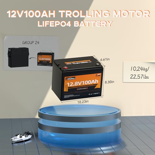 12V 100Ah Group 24 LiFePO4 Battery with 100A BMS Q524