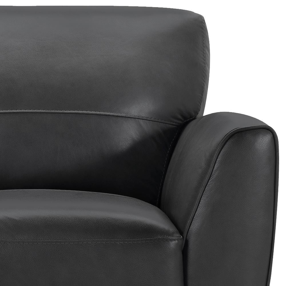 Modern Leather Accent Chair M3860