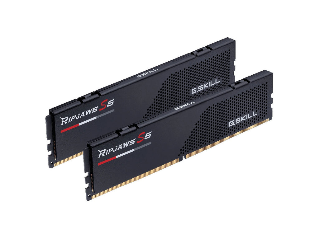 64GB (2 x 32GB) DDR5 5600 Desktop RAM I611176