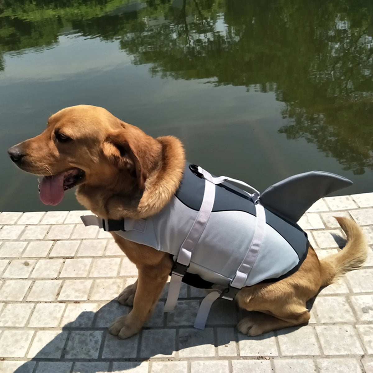 Dog Pet Shark Swimsuit Vest Safety Wear N44034