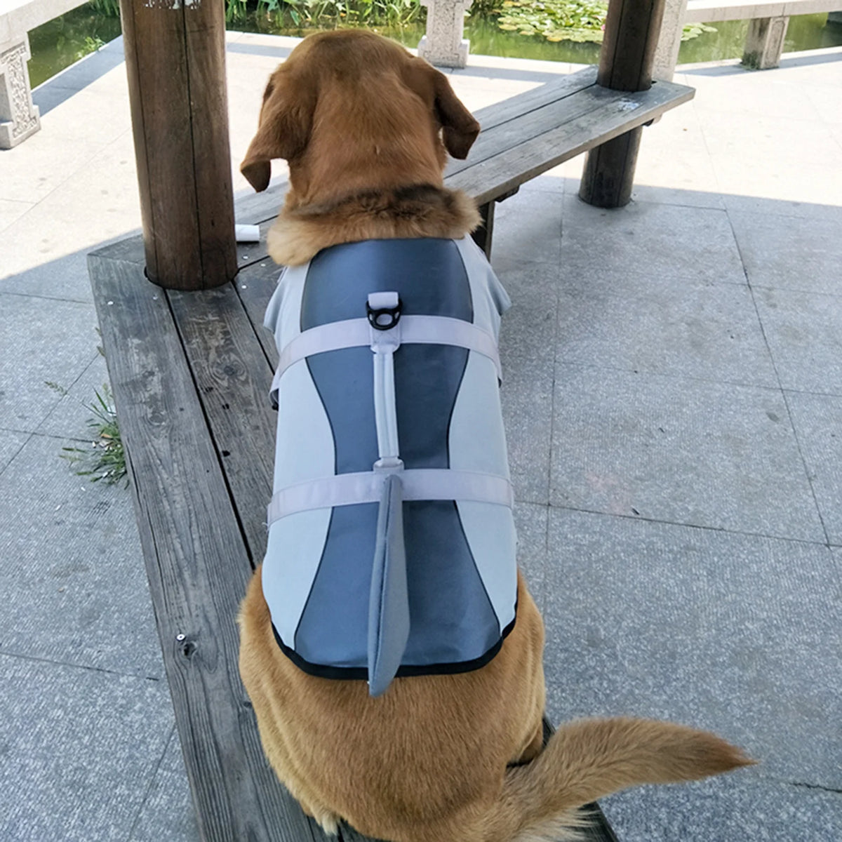 Dog Pet Shark Swimsuit Vest Safety Wear N44034