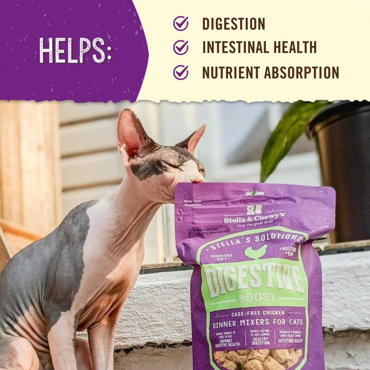 Cat Digestive Boost T3413