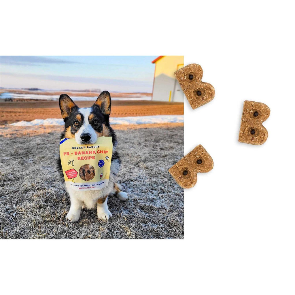 PB Banana Chip Soft & Chewy Dog Treats U285