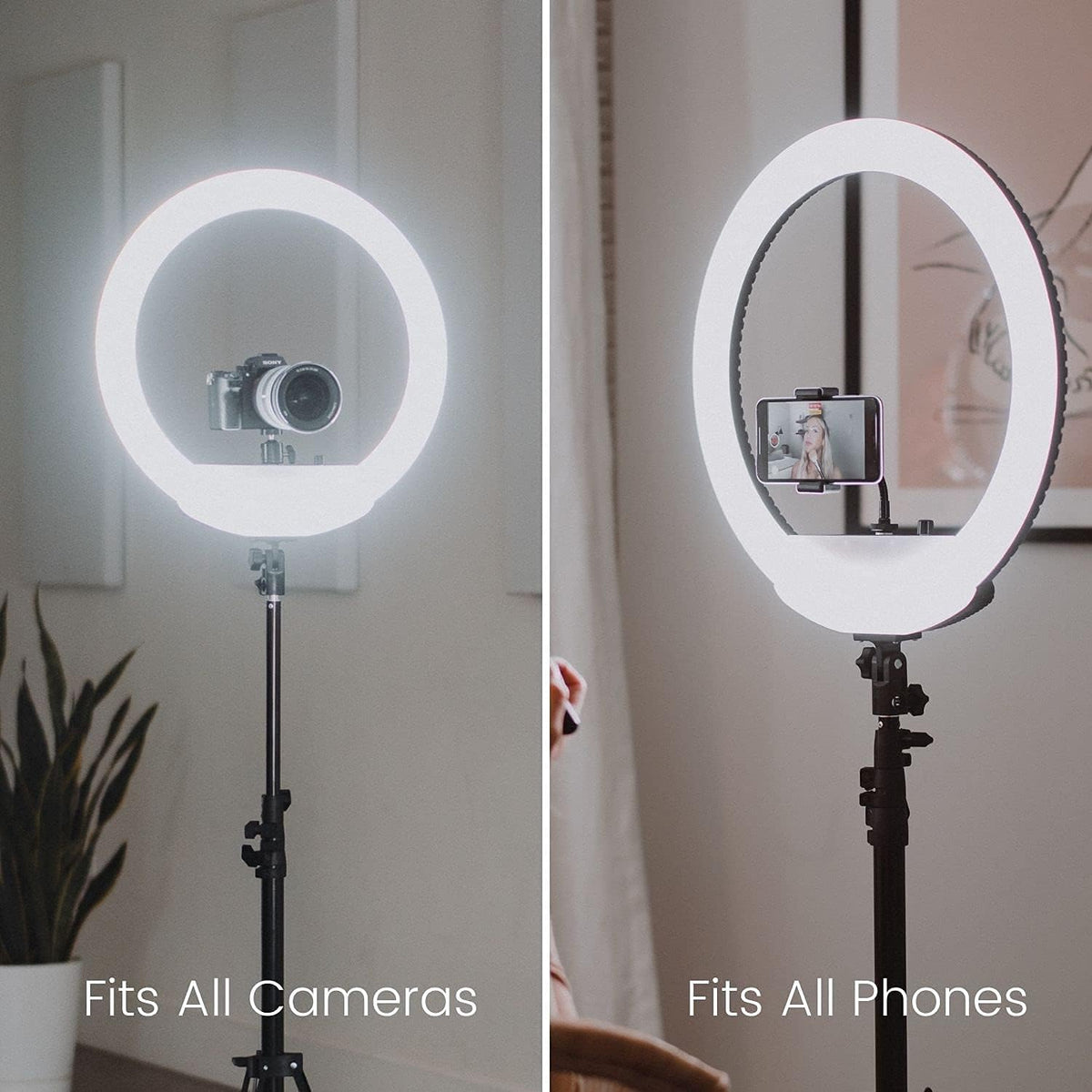 18 Cordless Bicolor Ring Light Kit with Carry Case and Stand U87811