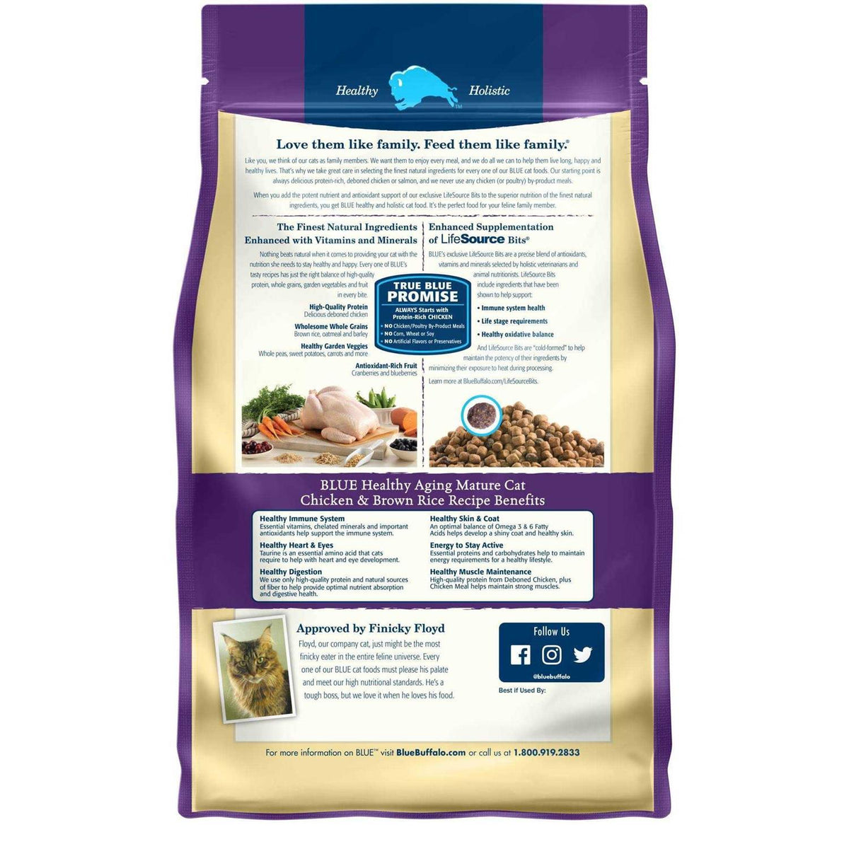 Chicken Dry Cat Food P806