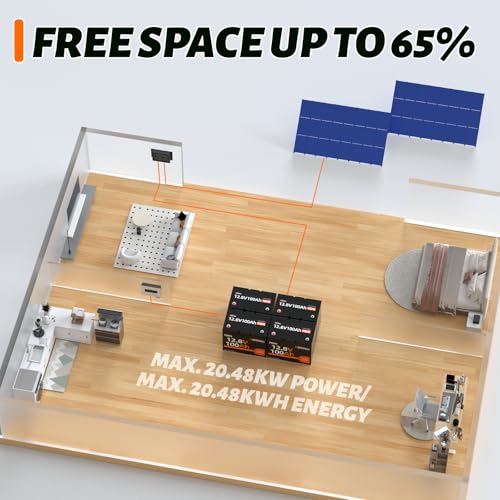 12V 100Ah Group 24 LiFePO4 Battery with 100A BMS Q524