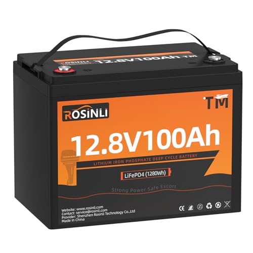 12V 100Ah Group 24 LiFePO4 Battery with 100A BMS Q524