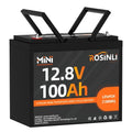 12V 100Ah Group 24 LiFePO4 Battery with 100A BMS Q524