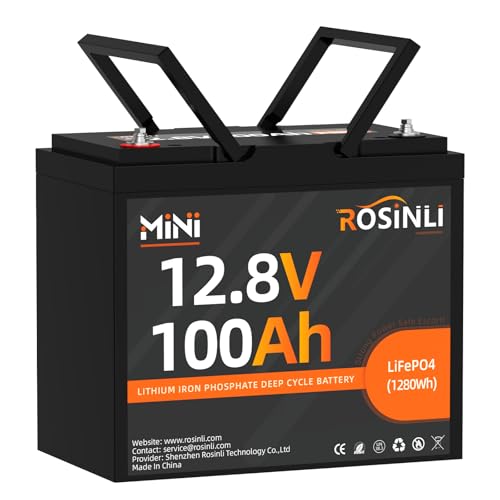 12V 100Ah Group 24 LiFePO4 Battery with 100A BMS Q524