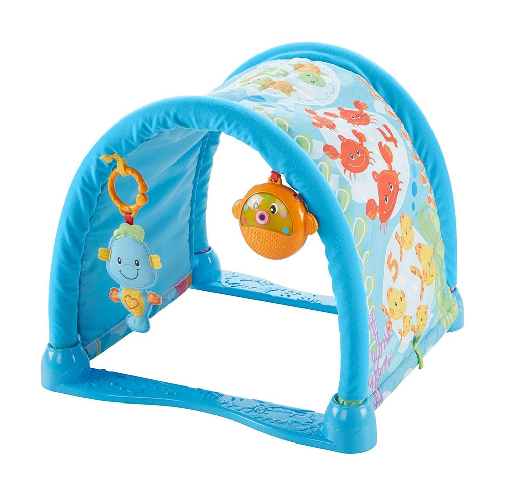 Musical Seahorse Gym Z800