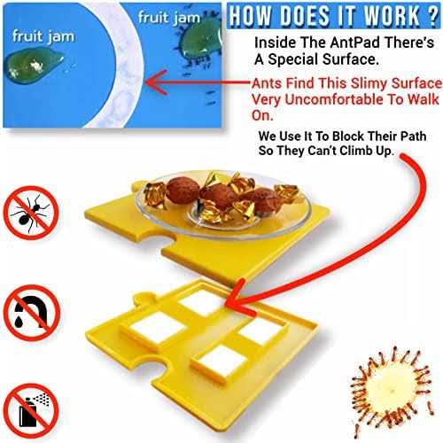 Ant Proof Dog Cat Pet Bowl L687718