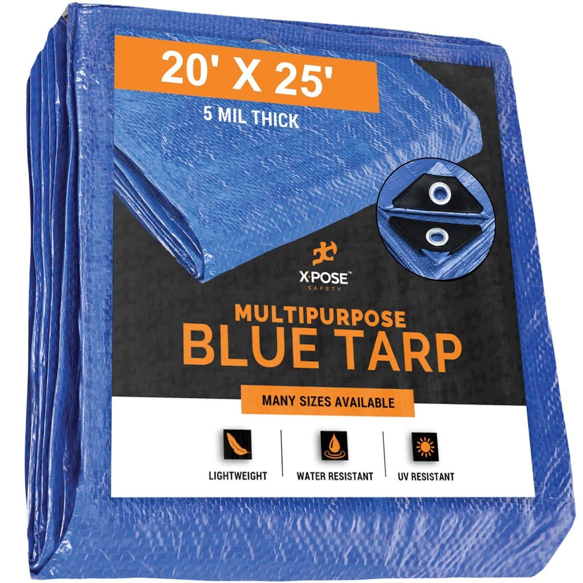 Blue Poly Tarps 20 x 25 Case of 4 G9840