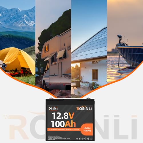 12V 100Ah Group 24 LiFePO4 Battery with 100A BMS Q524