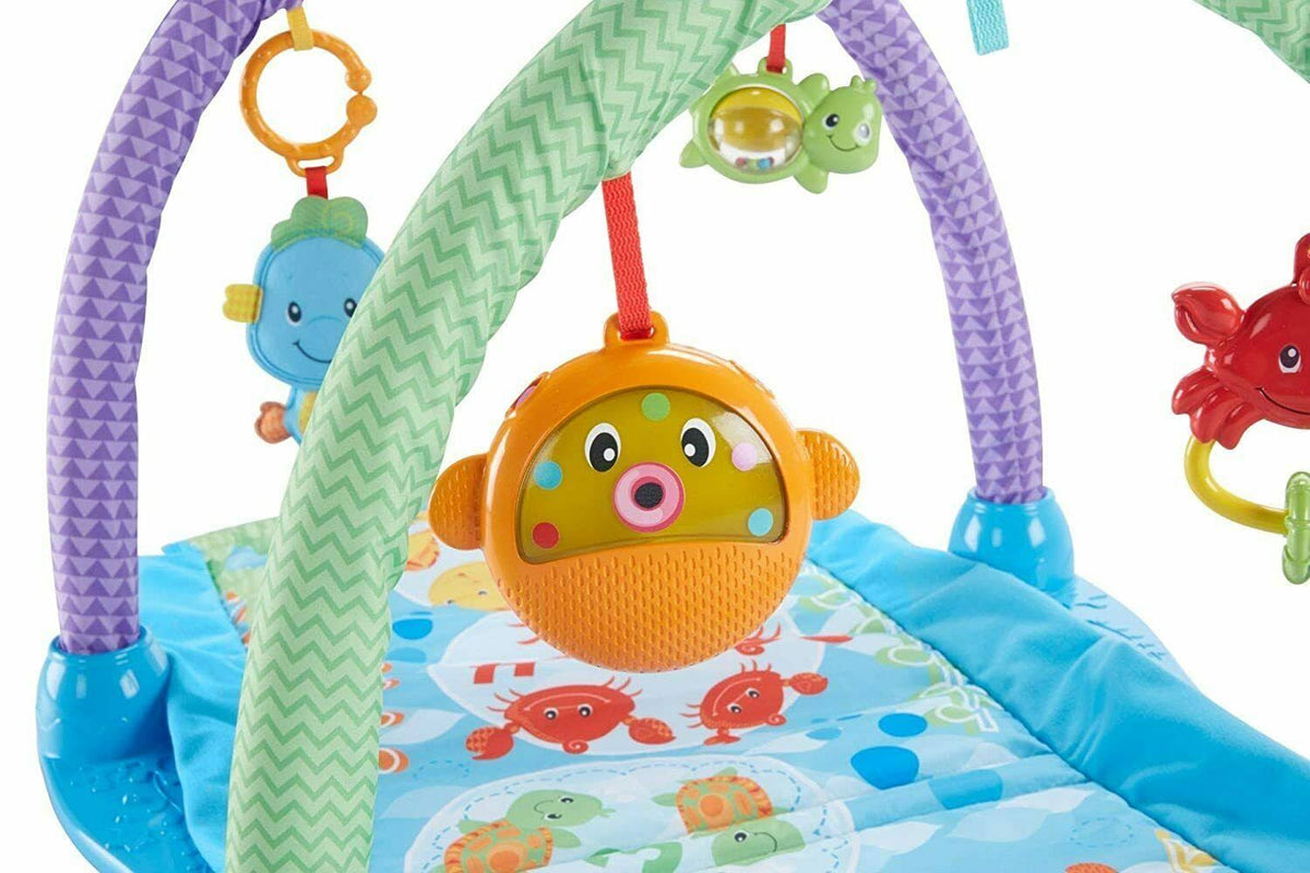 Musical Seahorse Gym Z800